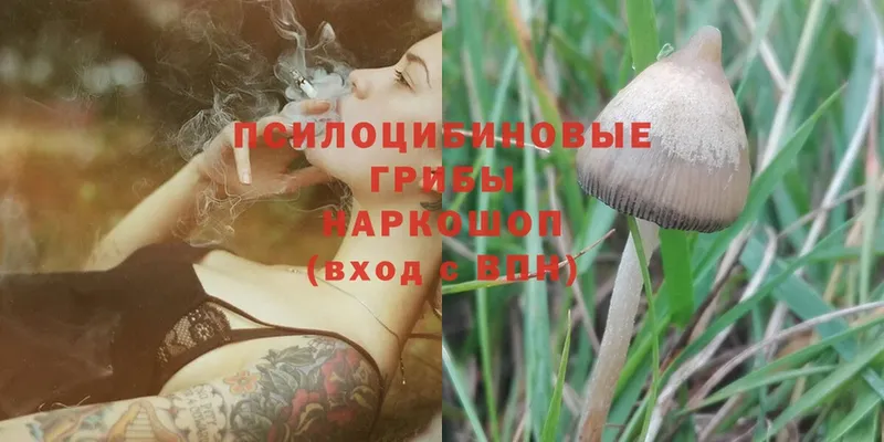 Псилоцибиновые грибы Magic Shrooms  Добрянка 